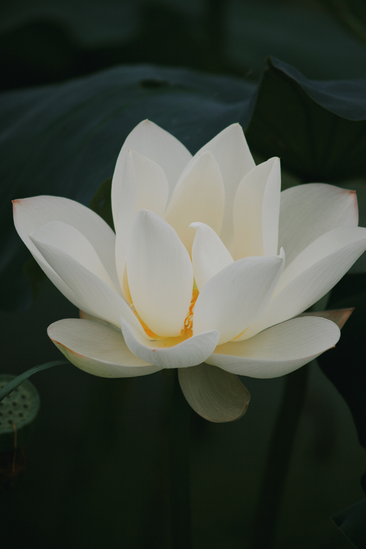 638323549440183132.jpg 638323549440183132.jpg