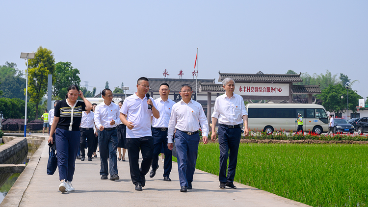 YAM_1335.jpg YAM_1335.jpg