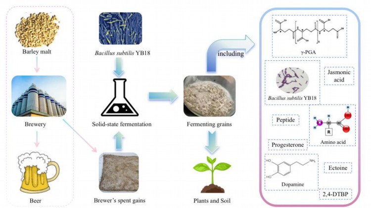 我校生物工程学院刘军教授团队在国际权威期刊《Bioresource Technology》上发表研究论文1.jpg 我校生物工程学院刘军教授团队在国际权威期刊《Bioresource Technology》上发表研究论文1.jpg