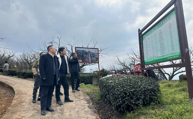 638426693338273828.jpg 638426693338273828.jpg