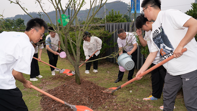 E_W08172.jpg E_W08172.jpg