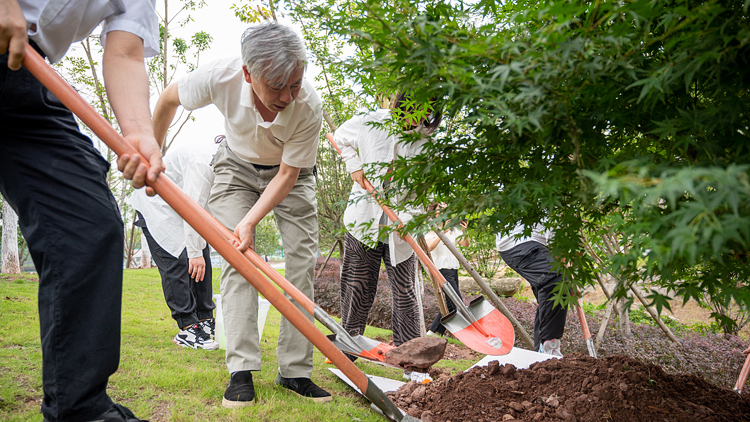 YAM_2935.jpg YAM_2935.jpg