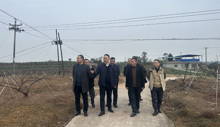 调研产业.jpg 调研产业.jpg